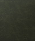 Pindler & Pindler Bonanza Loden Fabric