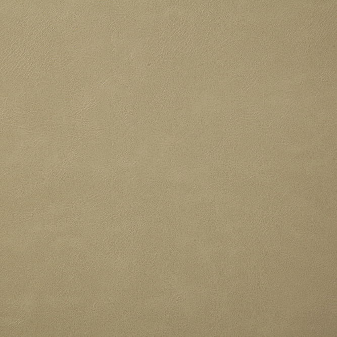 Pindler &amp; Pindler Bonanza Oyster Fabric