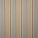 Pindler & Pindler Badra Soleil Fabric