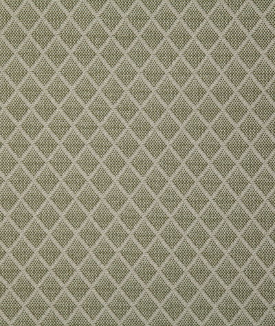 Pindler & Pindler Harrogate Palm Fabric