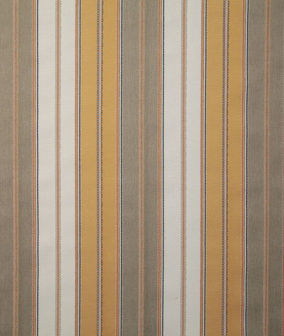 Pindler & Pindler Everest Yellow Fabric