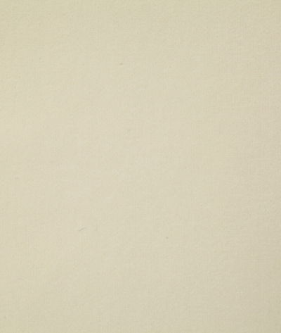Pindler & Pindler Cliffside Ivory Fabric