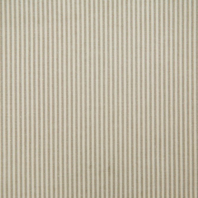 Pindler &amp; Pindler Bentley Birch Fabric