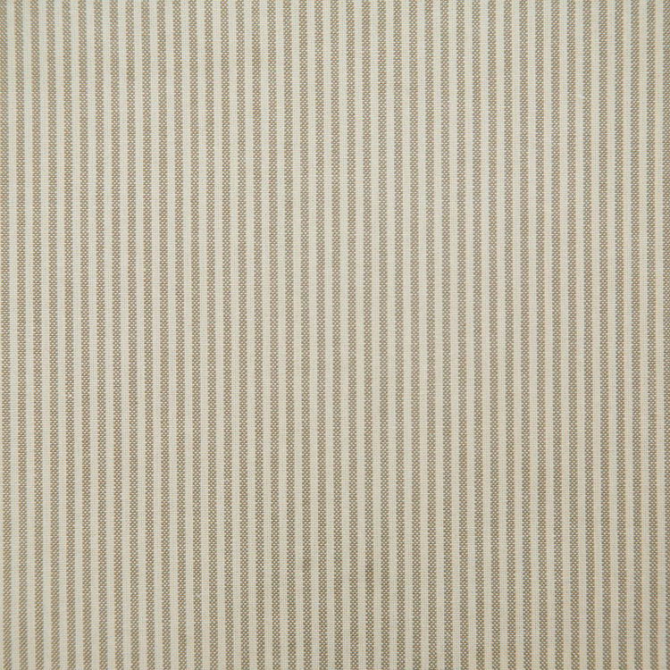Pindler &amp; Pindler Bentley Birch Fabric