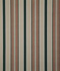Pindler & Pindler Baja Forest Fabric