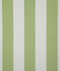 Pindler & Pindler Leeward Citrus Fabric