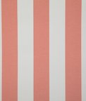 Pindler & Pindler Leeward Coral Fabric