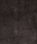 Pindler & Pindler Titus Espresso Fabric