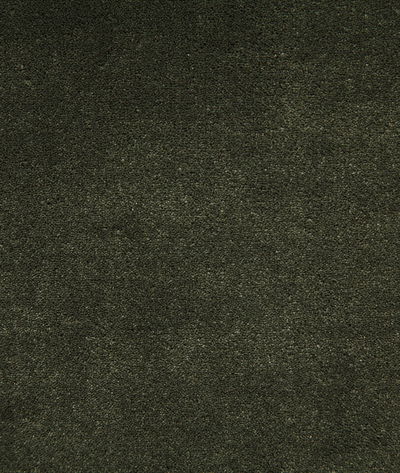 Pindler & Pindler Titus Loden Fabric