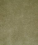 Pindler & Pindler Titus Moss Fabric