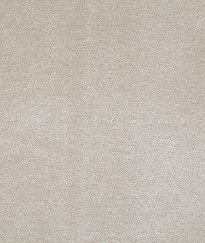 Pindler & Pindler Titus Shell Fabric