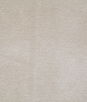 Pindler & Pindler Titus Shell Fabric