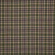 Pindler & Pindler Shauna Moss Fabric