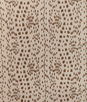Brunschwig & Fils Les Touches Tan Fabric