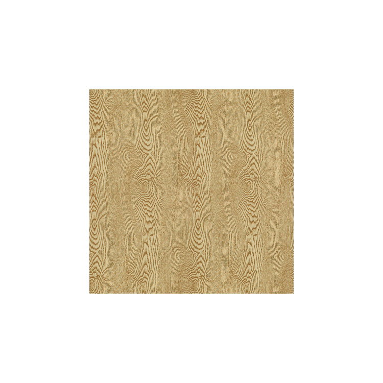 Brunschwig &amp; Fils Wood Tan Fabric
