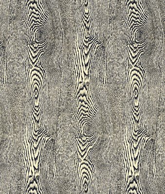 Brunschwig & Fils Wood Indigo Fabric