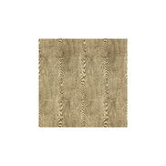 Brunschwig & Fils Wood Bark Fabric