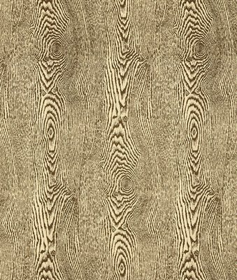 Brunschwig & Fils Wood Bark Fabric
