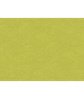 Brunschwig & Fils Chevalier Wool Peridot Fabric