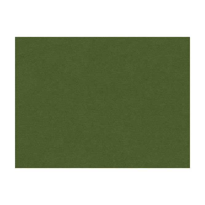 Brunschwig &amp; Fils Chevalier Wool Forest Fabric