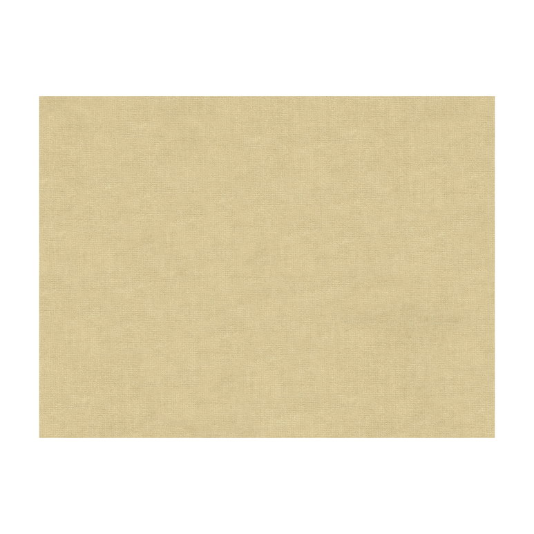 Brunschwig &amp; Fils Charmant Velvet Ecru Fabric