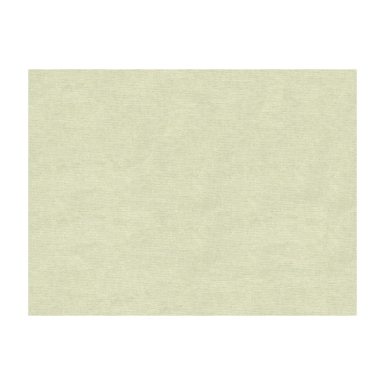 Brunschwig &amp; Fils Charmant Velvet Oyster Fabric