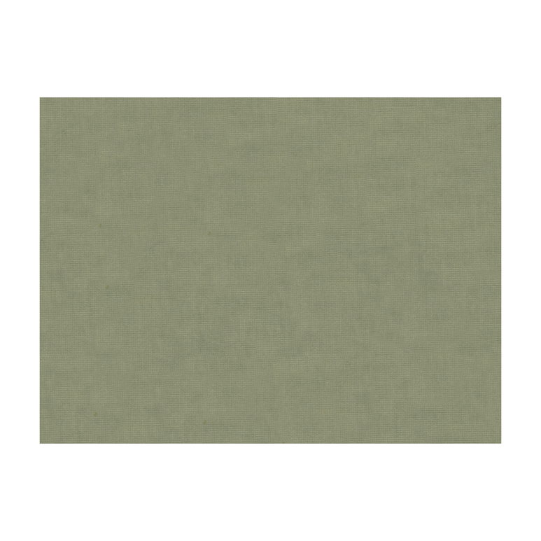 Brunschwig &amp; Fils Charmant Velvet Stone Fabric