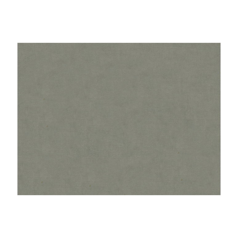 Brunschwig &amp; Fils Charmant Velvet Pewter Fabric