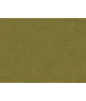 Brunschwig & Fils Charmant Velvet Olive Fabric