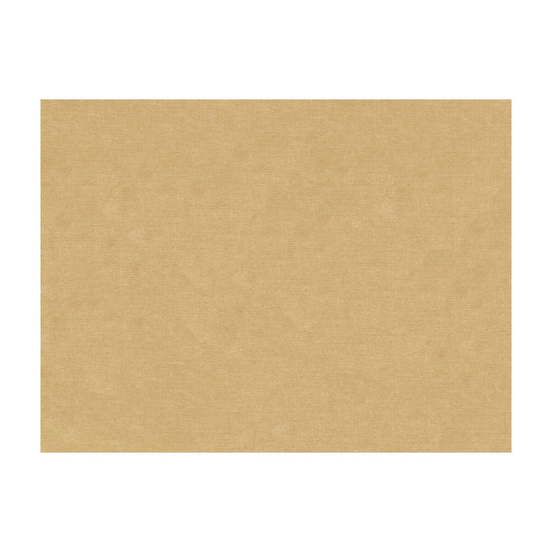 Brunschwig &amp; Fils Charmant Velvet Nougat Fabric
