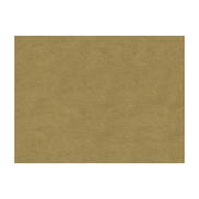 Brunschwig & Fils Charmant Velvet Driftwood Fabric