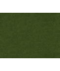 Brunschwig & Fils Charmant Velvet Pine Fabric