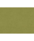 Brunschwig & Fils Charmant Velvet Fern Fabric