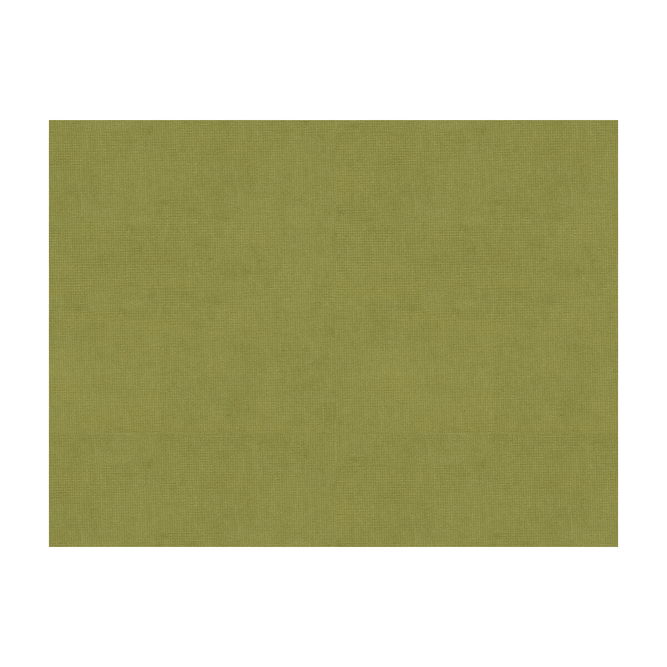 Brunschwig &amp; Fils Charmant Velvet Fern Fabric