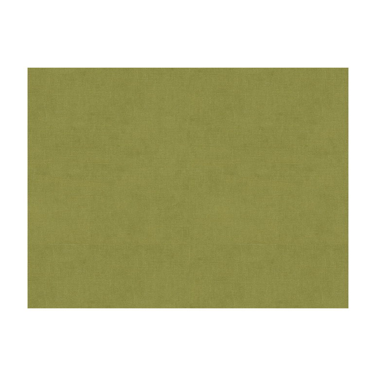 Brunschwig &amp; Fils Charmant Velvet Fern Fabric