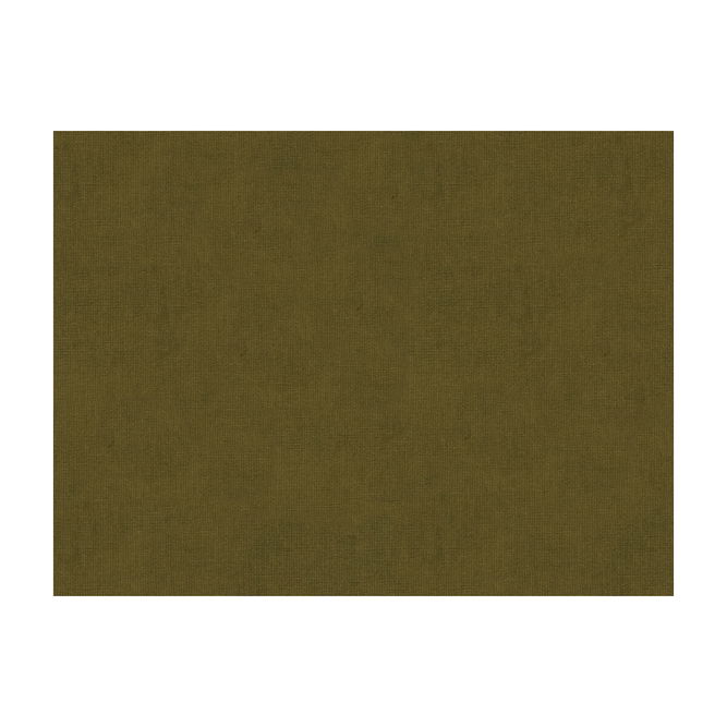 Brunschwig &amp; Fils Charmant Velvet Tabacco Fabric