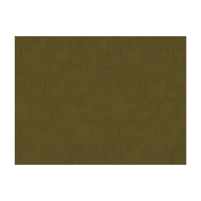 Brunschwig &amp; Fils Charmant Velvet Tabacco Fabric