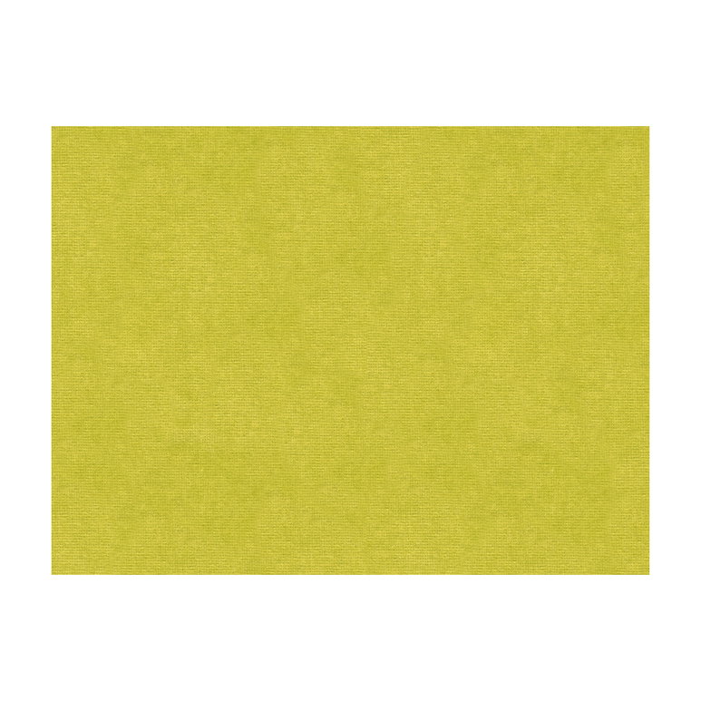 Brunschwig &amp; Fils Charmant Velvet Peridot Fabric