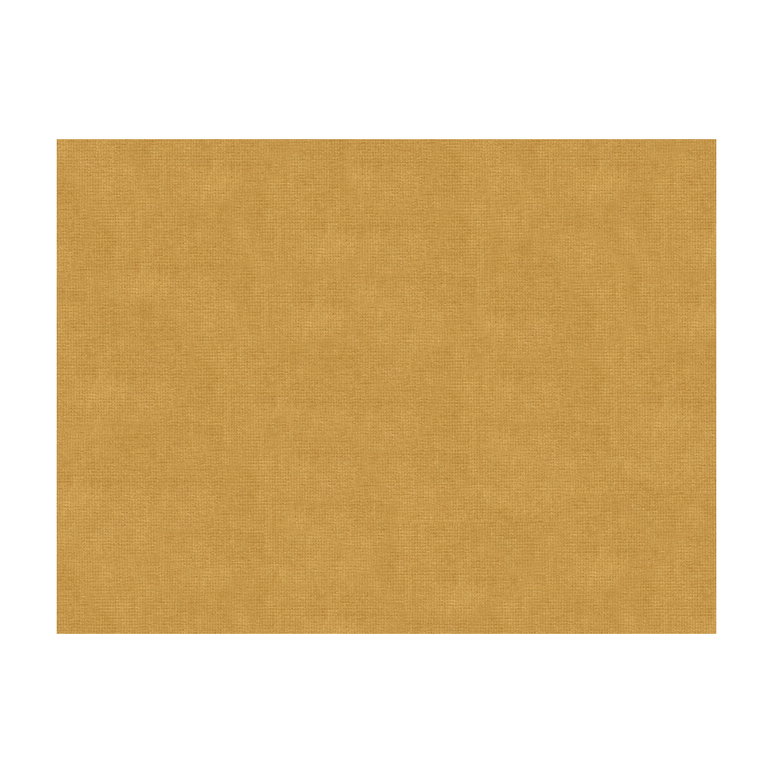 Brunschwig &amp; Fils Charmant Velvet Beige Fabric