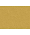 Brunschwig & Fils Charmant Velvet Lichen Fabric