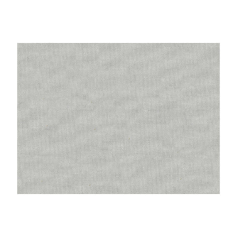 Brunschwig &amp; Fils Charmant Velvet Silver Fabric