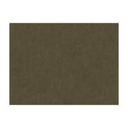 Brunschwig & Fils Charmant Velvet Ash Fabric