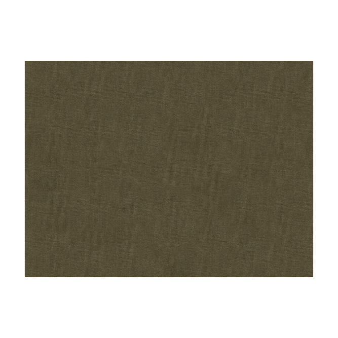 Brunschwig &amp; Fils Charmant Velvet Ash Fabric
