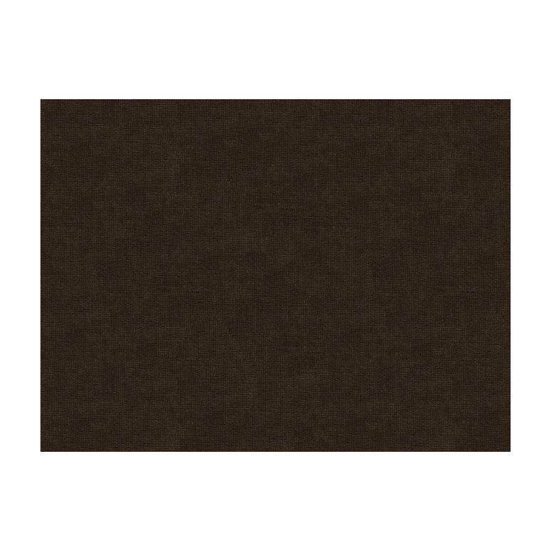 Brunschwig &amp; Fils Charmant Velvet Sepia Fabric