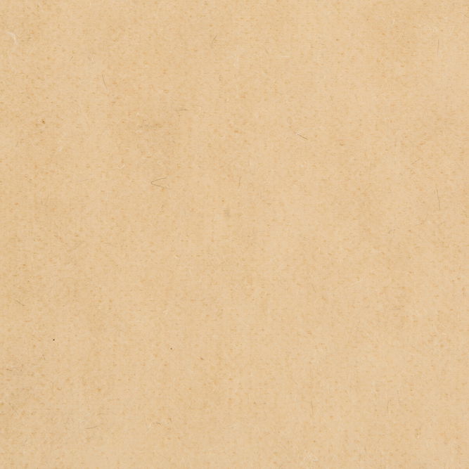 Brunschwig &amp; Fils Bachelor Mohair Almond Fabric