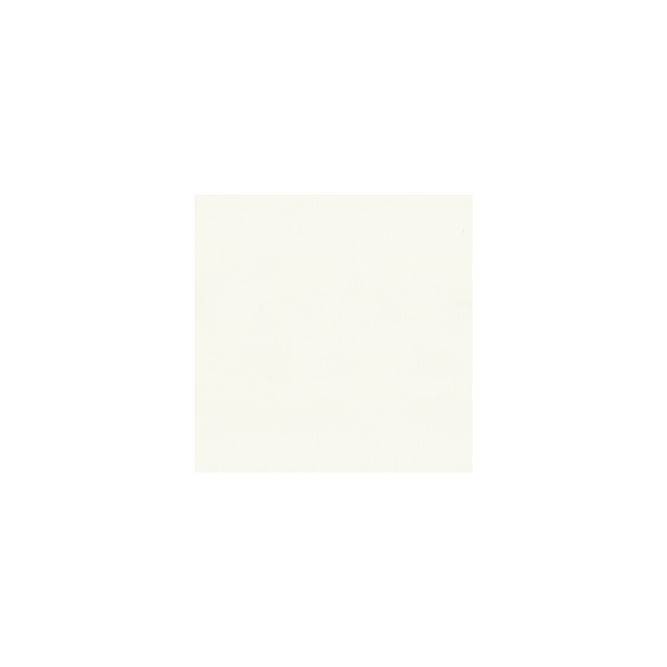 Brunschwig &amp; Fils Laudine White Fabric