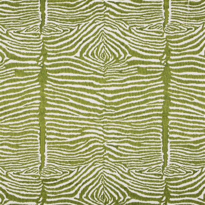 Brunschwig &amp; Fils Le Zebre Embroidery Leaf Fabric