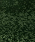 Brunschwig & Fils Lazare Velvet Emerald Fabric