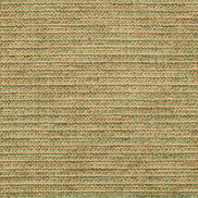 Brunschwig & Fils Tepey Chenille Fern Fabric