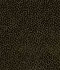 Brunschwig & Fils La Panthere Velvet Green Fabric